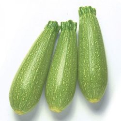 كوسه عضوي طبق مزارع الياسمن العضوية