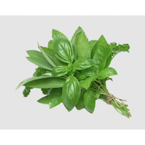 ريحان طازج عضوي طبق مزرعة طويق 