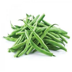 Organic white beans, farm-grown in a greenhouse