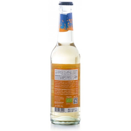 شراب زنجبيل 330 مل عضوي من أرض الطبيعة شراب زنجبيل 330 مل عضوي من أرض الطبيعة