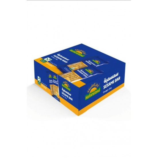 سمسمية بالرتقال أرض الطبيعة32حبه * 22.5 جم ( كرتون ) سمسمية بالرتقال أرض الطبيعة32حبه * 22.5 جم ( كرتون )