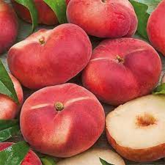 خوخ كعب الغزال طبيعي 1 كجم الوطنية خوخ كعب الغزال طبيعي 1 كجم الوطنية