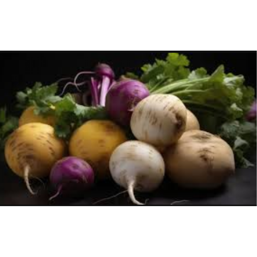 فجل الوان عضوي مزرعة السلوي فجل الوان عضوي مزرعة السلوي