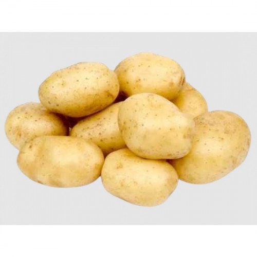 بطاطس عضوي فلين مزرعة السلوى 