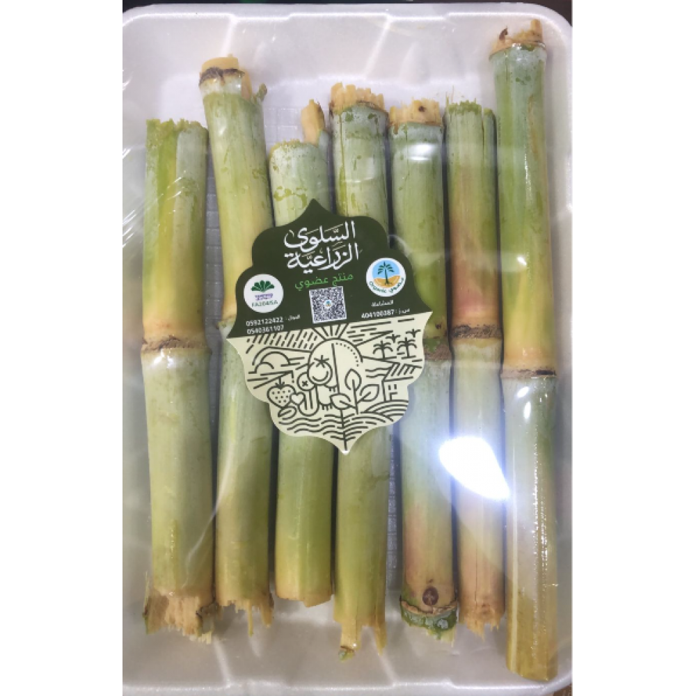 قصب السكر الطازج طبق 600جم عضوي مزرعة السلوى قصب السكر الطازج طبق 600جم عضوي مزرعة السلوى
