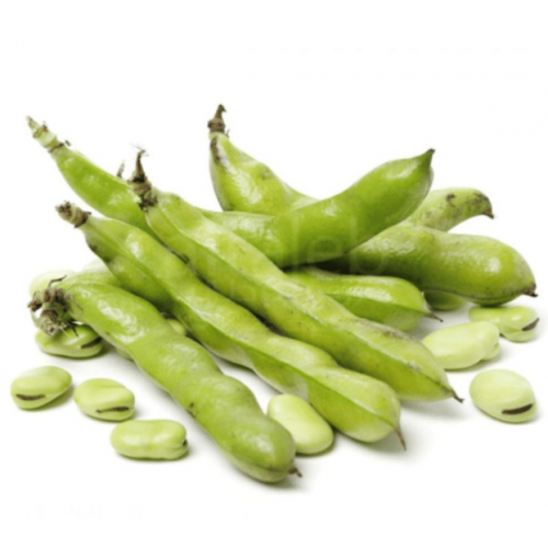 فول اخضر طازج عضوي طبق مزرعة الغذاء الامن فول اخضر طازج عضوي طبق مزرعة الغذاء الامن