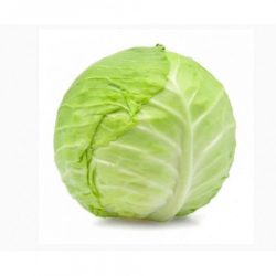 Organic cabbage, grow house