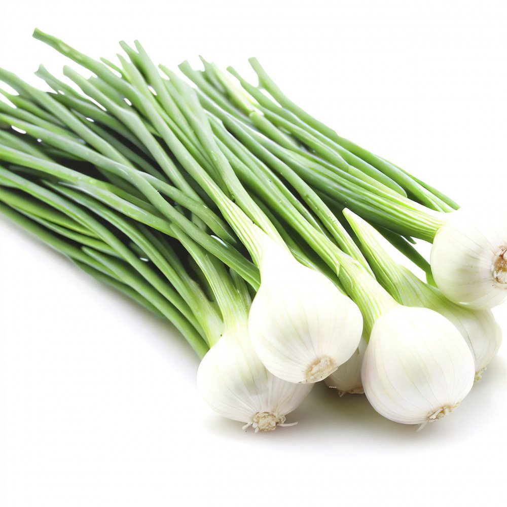 ثوم اخضر عضوي طازج  ربطة  مزرعة الغذاء الامن