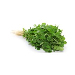 Fresh fenugreek sticks, farmhouse germination
