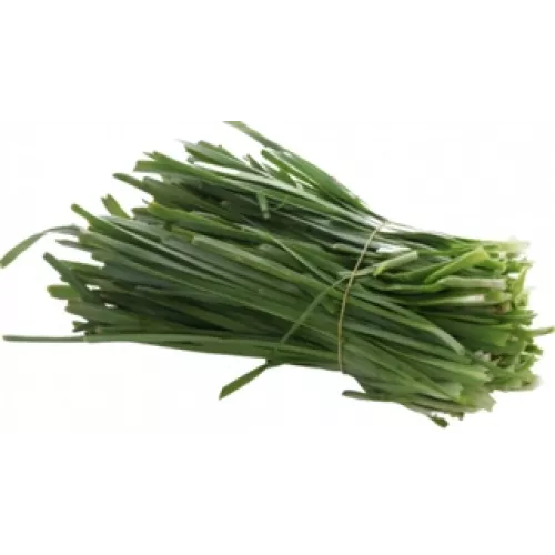 كرات عضوي ربطة ال طالب