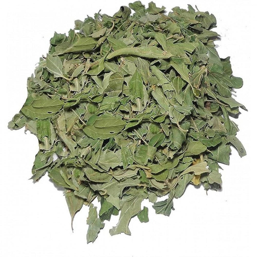 ورق سدر عضوي مجفف مزرعة السلوى 