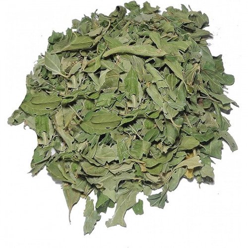 ورق سدر عضوي مجفف مزرعة السلوى 