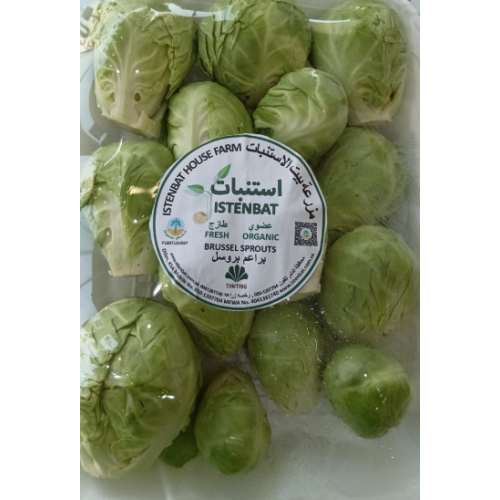 براعم بروسل عضوي مزرعة بيت الاستنبات  