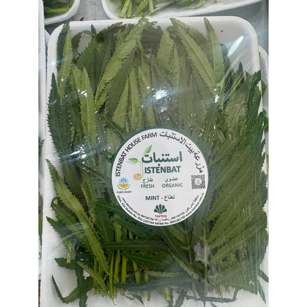 نعناع كندي عضوي مزرعة بيت الاستنبات 