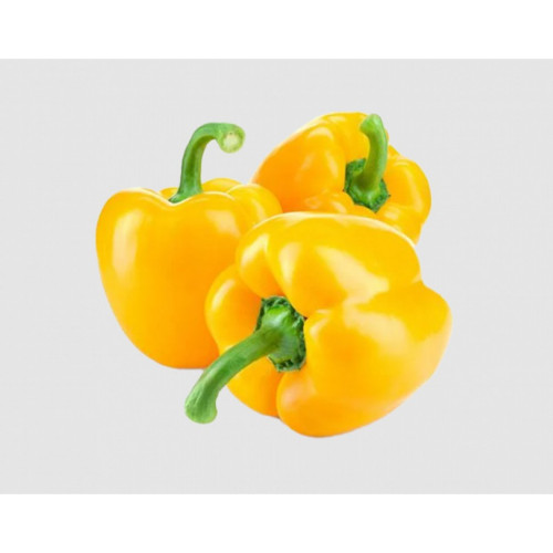 فلفل رومي اصفر عضوي  1.200جم طبق مزرعة  الشهوان