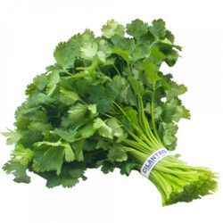 Organic coriander, a dish from the organic Al-Yan Farm
