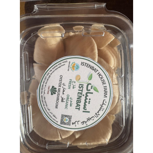 فطر محاري عضوي طازج طبق مزرعة بيت الاستنبات 