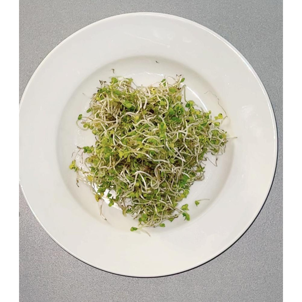 نبوت الكيل العضوي مزرعة بيت الاستنبات 