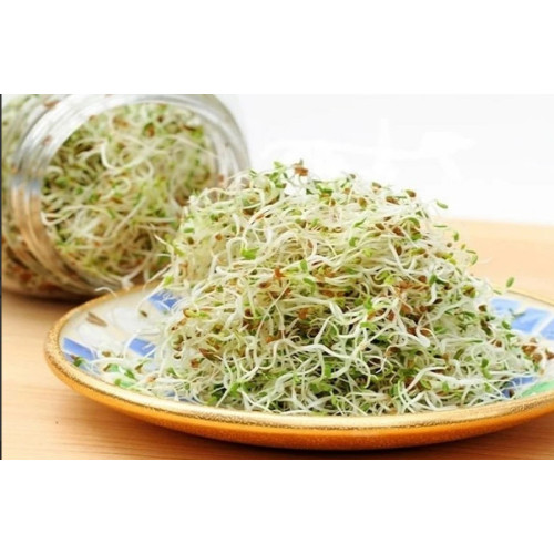 نبوت البروكلي العضوي مزرعة بيت الاستنبات 