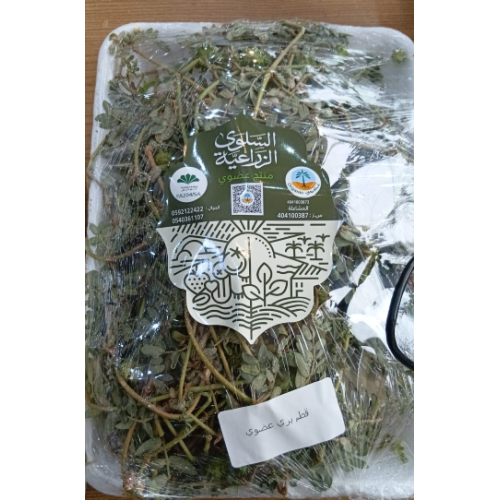 قطم بري عضوي طبق مزرعة السلوي 