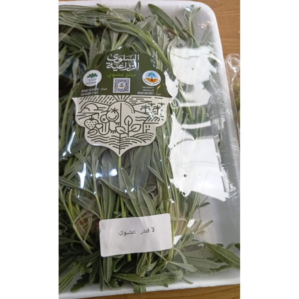 لافندر بري عضوي طازج مزرعة السلوى 