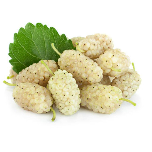 توت بري  ابيض طازج  عضوي طبق مزرعة السلوى 