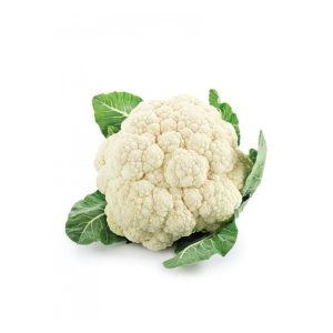 زهرة حبه مفحوص تعاونية عنيزة الزراعية