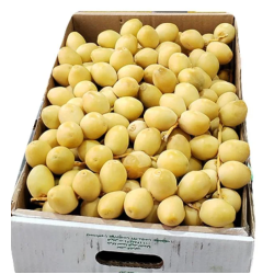 Natural Barhi Dates (2 kg carton)