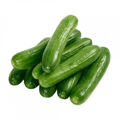 Organic Cucumber 1 kg – Al-Yaan Organic Farm Organic Cucumber 1 kg – Al-Yaan Organic Farm