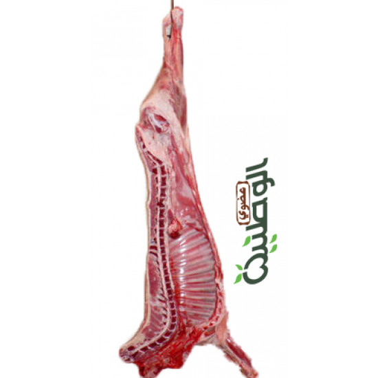 نصف ذبيحة هرفي الوطنية طازجة من 10-11 كجم نصف ذبيحة هرفي الوطنية طازجة من 10-11 كجم