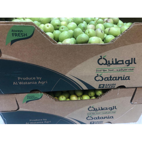 زيتون اخضر عضوي طازج 1 كجم الوطنية زيتون اخضر عضوي طازج 1 كجم الوطنية