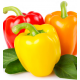 فلفل رومي ملون عضوي 500جم ال طالب