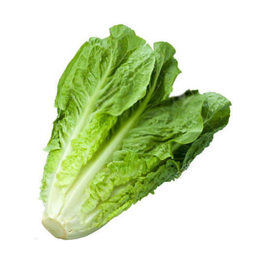 خس روماني سعودي 1 كجم طبيعي