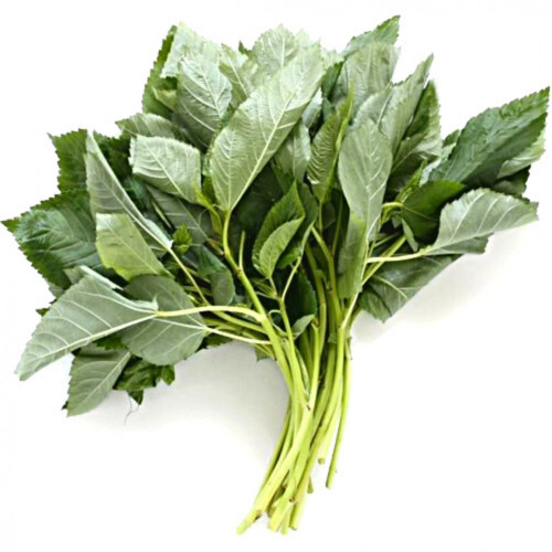 ملوخية طازجة  عضوية ربطة ال طالب