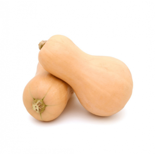 قرع عضوي من مزرعة ال طالب العضوية