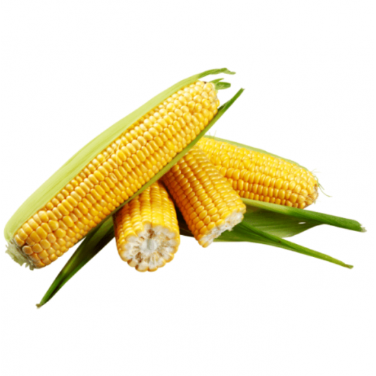 ذرة عضوي 3حبات مزرعة ال طالب ذرة عضوي 3حبات مزرعة ال طالب