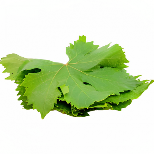 ورق عنب عضوي كرتون 500جم الوطنية ورق عنب عضوي كرتون 500جم الوطنية