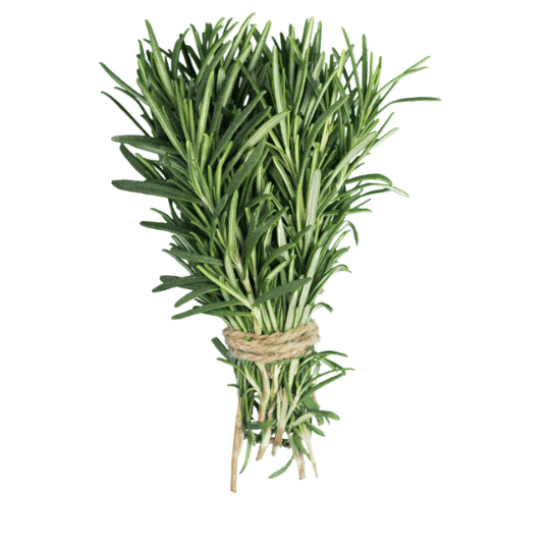 اكليل الجبل الطازج - عضوي مزرعة الشهوان اكليل الجبل الطازج - عضوي مزرعة الشهوان