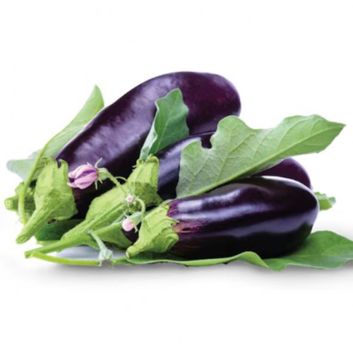باذنجان عضوي 1كجم مزرعة الشهوان باذنجان عضوي 1كجم مزرعة الشهوان