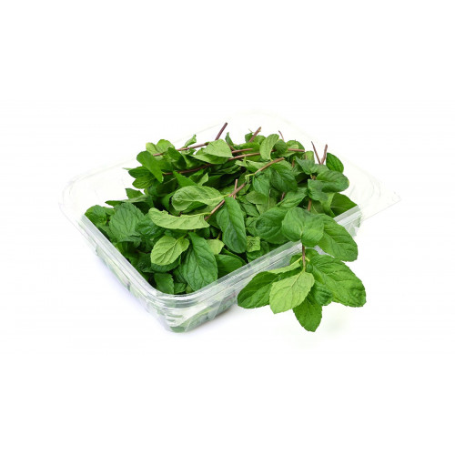 نعناع عضوي طازج ربطة مزرعة السلوى