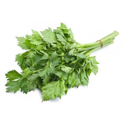 كرفس بلدي عضوي طبق السلوى كرفس بلدي عضوي طبق السلوى