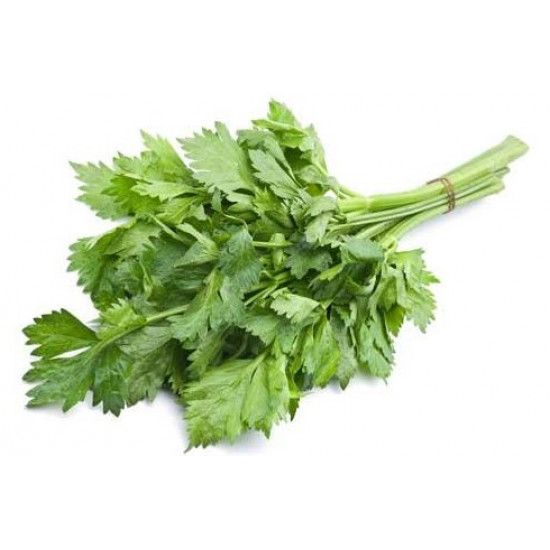 كرفس بلدي عضوي طبق السلوى كرفس بلدي عضوي طبق السلوى