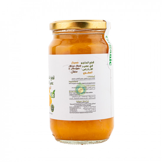 قطع المانجو في عصير الاناناس عضوي 340جم رايت دايت قطع المانجو في عصير الاناناس عضوي 340جم رايت دايت