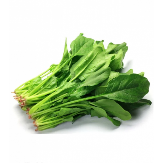 سبانخ  عضوي  مزرعة السلوى ربطة 