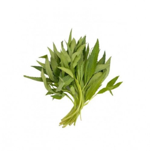 شاي اخضر طازج عضوي 100 جرام مزرعة  السلوى 