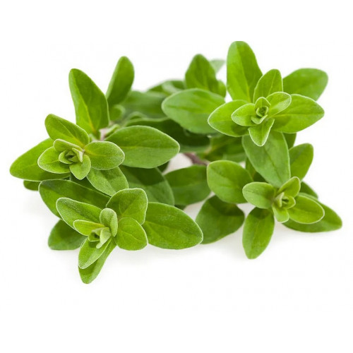 بردقوش عضوي طازج طبق مزرعة السلوى بردقوش عضوي طازج طبق مزرعة السلوى