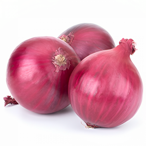 بصل احمر عضوي 2 كجم مزرعة الشهوان بصل احمر عضوي 2 كجم مزرعة الشهوان