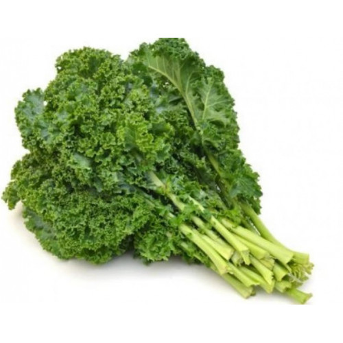 كيل اخضر عريض عضوي مزرعة بيت الاستنبات العضوية كيل اخضر عريض عضوي مزرعة بيت الاستنبات العضوية