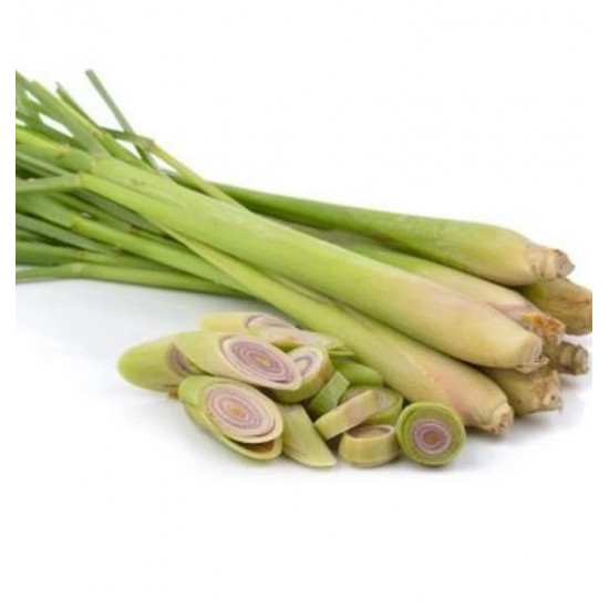 عشبة الليمون العضوية ربطة مزرعة بيت الاستنبات العضوية