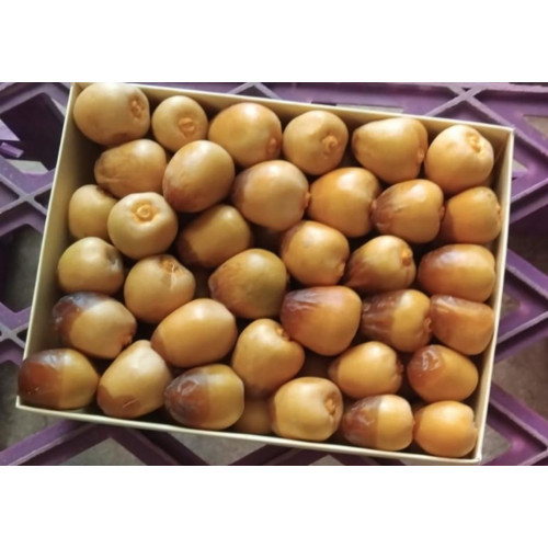 سكري مناصيف فاخر  عضوي طازج 1 كجم مزرعة  السلوى العضوية 